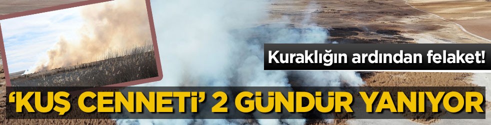 Kuraklığın ardından felaket! ‘Kuş Cenneti’ 2 gündür yanıyor