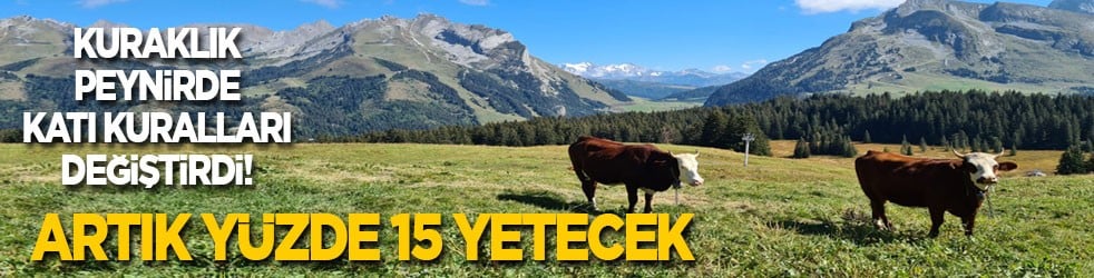 Kuraklık peynirde katı kuralları değiştirdi! Artık y&uuml;zde 15 yetecek