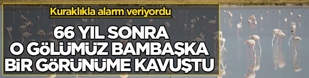 Kuraklıkla alarm veriyordu! 66 yıl sonra o gölümüz bambaşka bir görünüme kavuştu