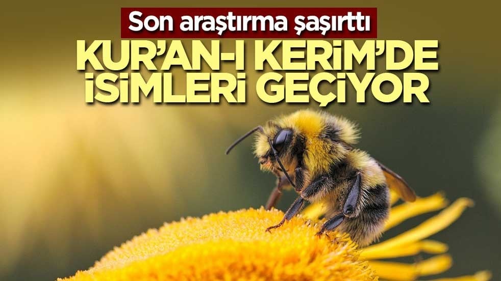 Kur'an-ı Kerim'de adları geçiyor! Bilim adamları şoke oldu