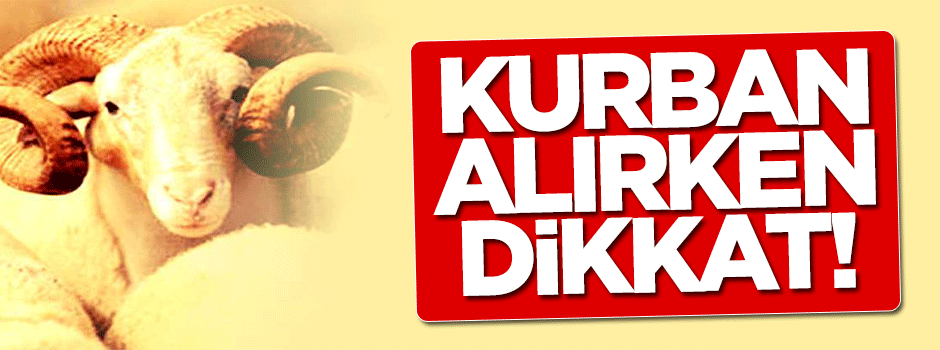 Kurban alırken bunlara dikkat!