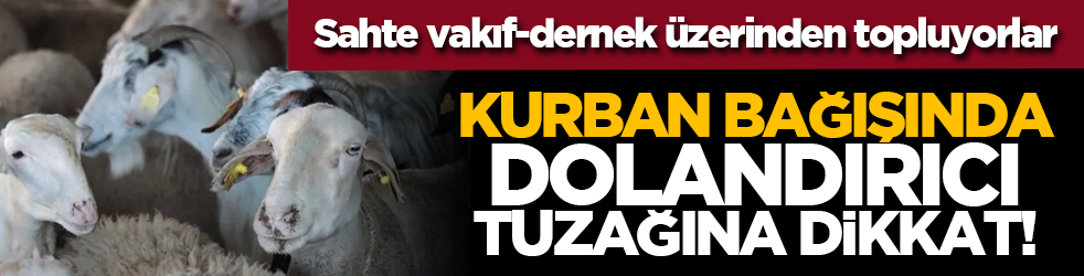 Kurban bağışında dolandırıcı tuzağına dikkat!