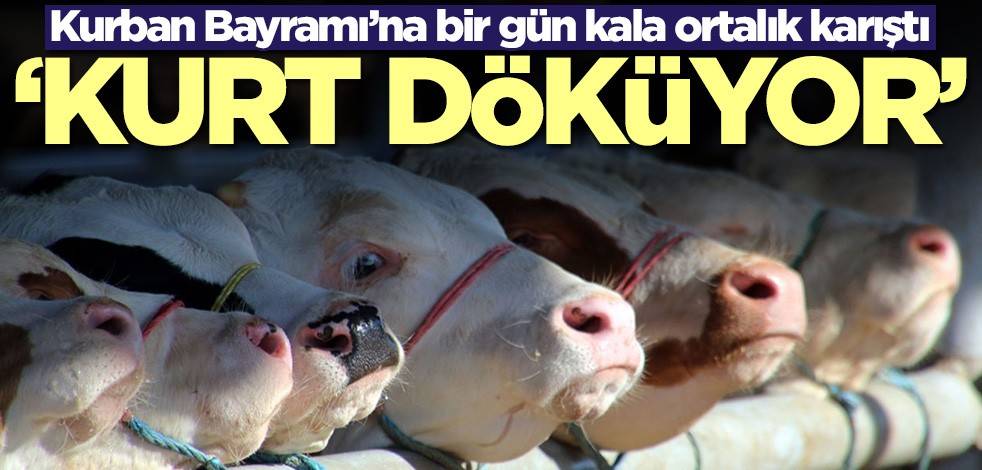 Kurban Bayramı’na bir gün kala bakkallar ile kasaplar birbirine girdi! 'Kurt döküyor'