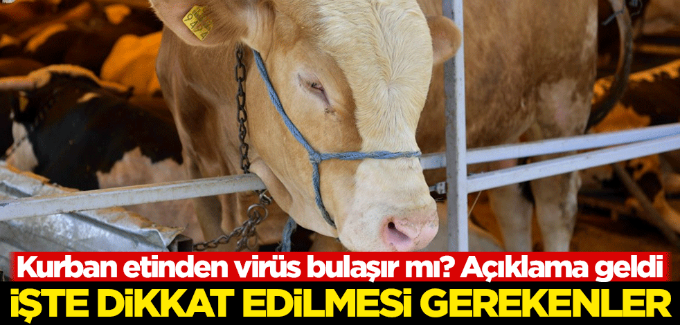 Kurban etinden virüs bulaşır mı? Açıklama geldi! İşte dikkat edilmesi gerekenler