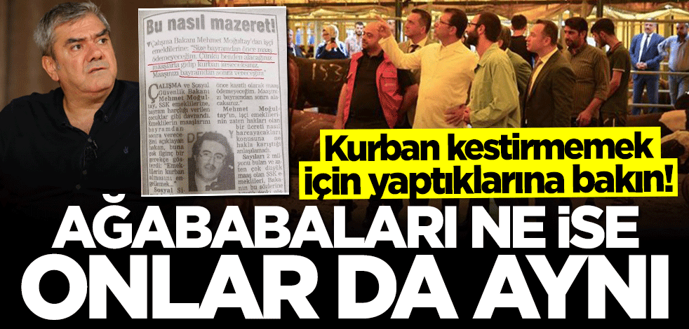Kurban kestirmemek için yaptıklarına bakın! Ağababaları ne ise onlar da aynı