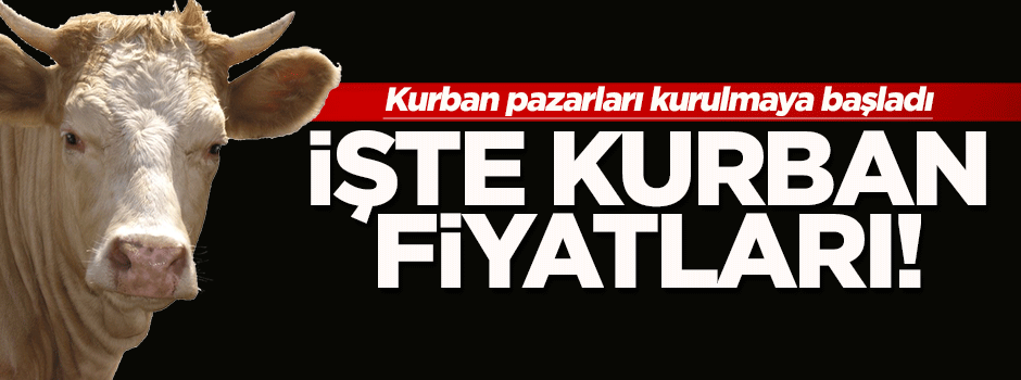 Kurban pazarları kurulmaya başladı