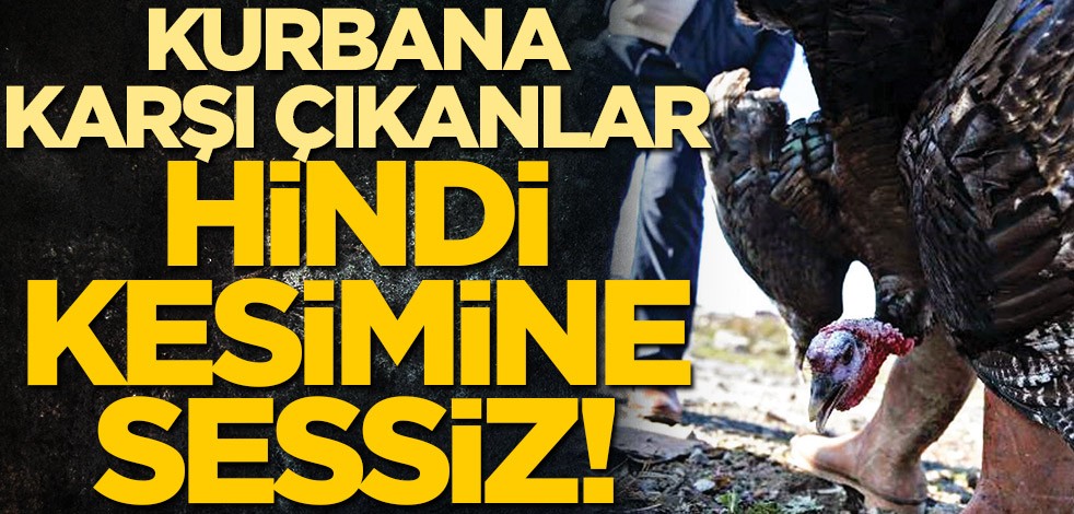 Kurbana karşı çıkanlar hindi kesimine sessiz!