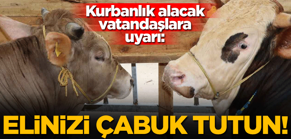 Kurbanlık alacak vatandaşlara uyarı: Elinizi çabuk tutun