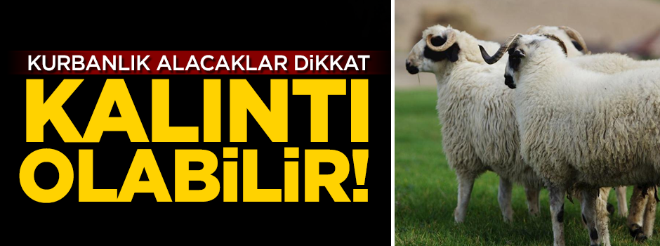Kurbanlık alacaklar dikkat! 'Kalıntı olabilir'