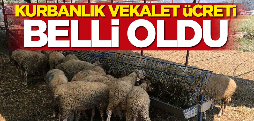 Kurbanlık vekalet ücreti belli oldu