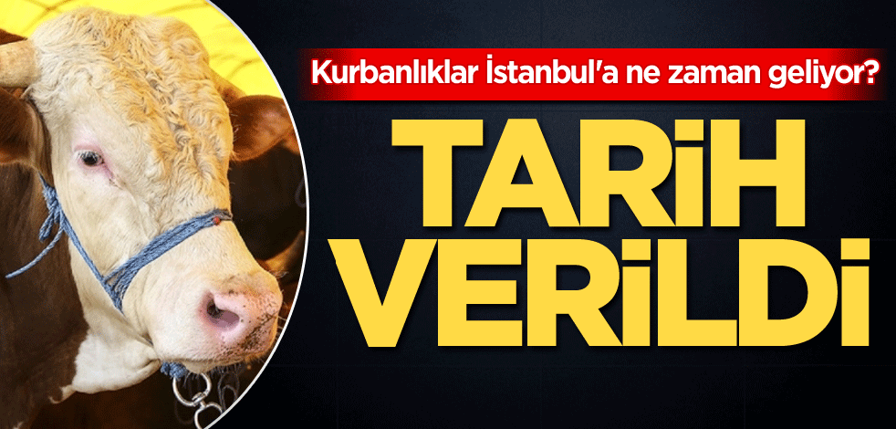 Kurbanlıklar İstanbul'a ne zaman geliyor? Tarih verildi