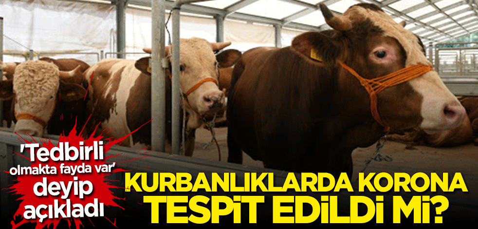 Kurbanlıklarda koronavirüs tespit edildi mi?