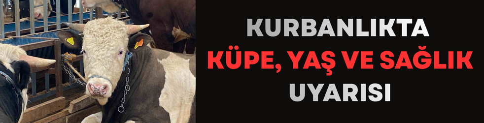 Kurbanlıkta küpe, yaş ve sağlık uyarısı