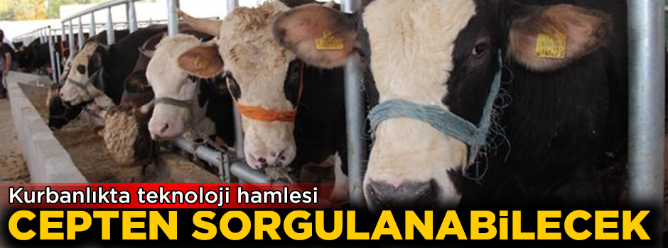 Kurbanlıkta teknoloji hamlesi! "Güvenilir kurban için siz de teknolojiyi seçin"