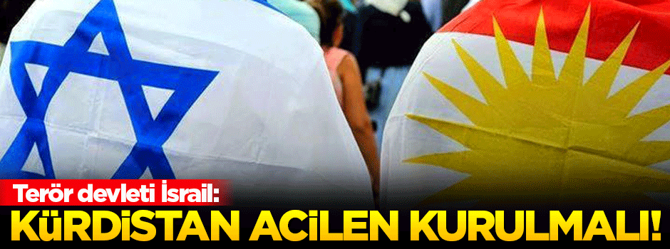 'Kürdistan Devleti acilen kurulmalı'