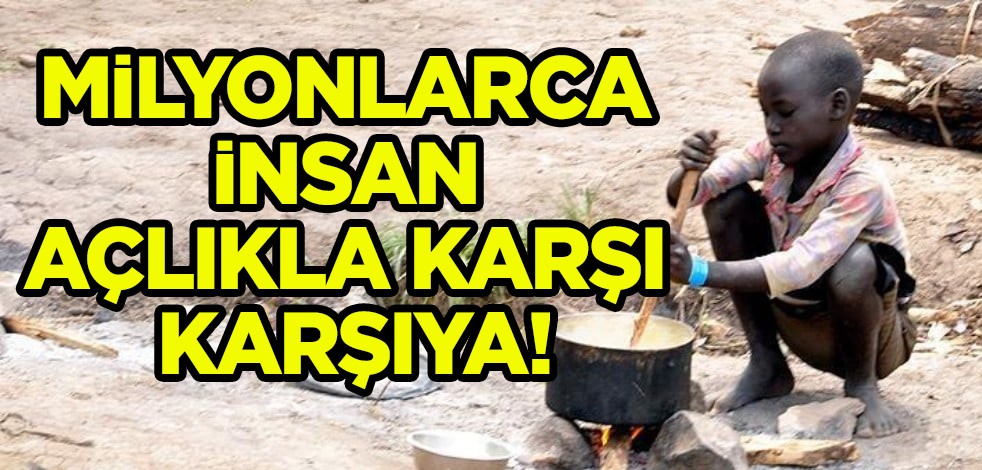 Küresel açlık rakamlarını duyan şoka girdi: Dünya genelinde 735 milyon insan açlıkla karşı karşıya! İlişkin tespit
