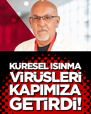 Küresel ısınma virüsleri kapımıza getirdi! Sivrisineklerden bulaşan tehlikeye dikkat!