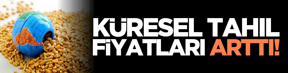 Küresel tahıl fiyatları arttı!