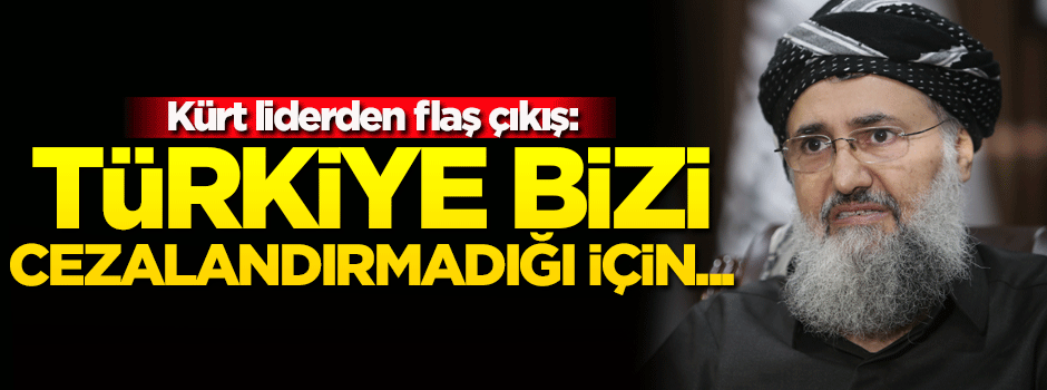 Kürt lider: Türkiye bizi cezalandırmadığı için...