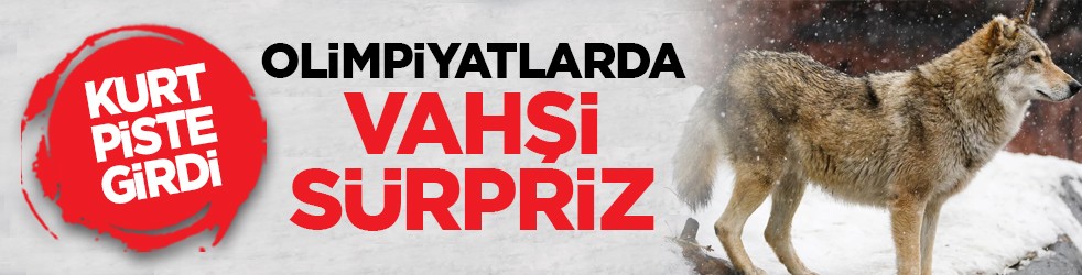 Kurt piste girdi: Olimpiyatlarda vahşi sürpriz