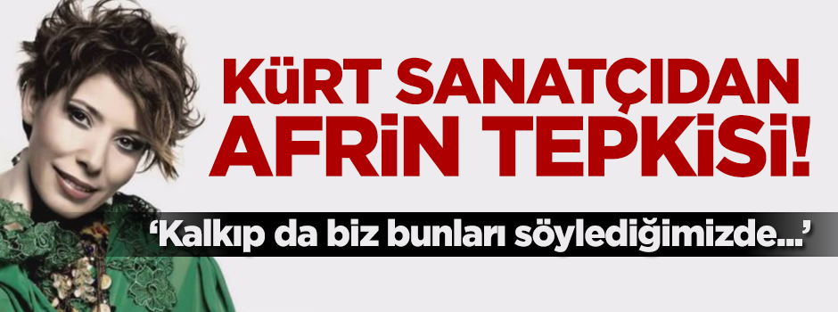 Kürt sanatçıdan Afrin tepkisi: Hepiniz...