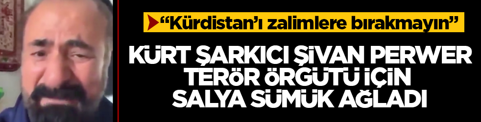 Kürt şarkıcı Şivan Perwer, terör örgütü için salya sümük ağladı: Kürdistan’ı zalimlere bırakmayın