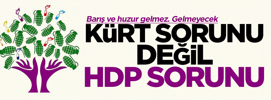 'Kürt sorunu değil HDP sorunu'