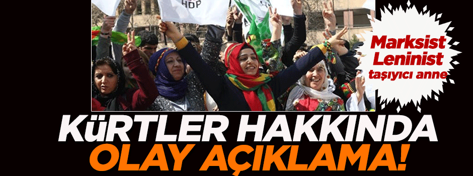 'Kürtler, PKK'nın Marksizm-Leninizm spermi yüklediği 'taşıyıcı anne'lere dönüştürülmek isteniyor!'