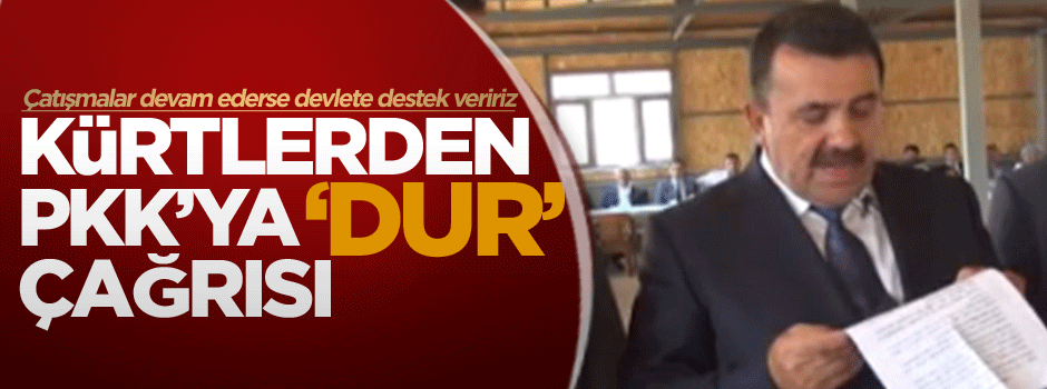 Kürtlerden PKK'ya 'dur' çağrısı