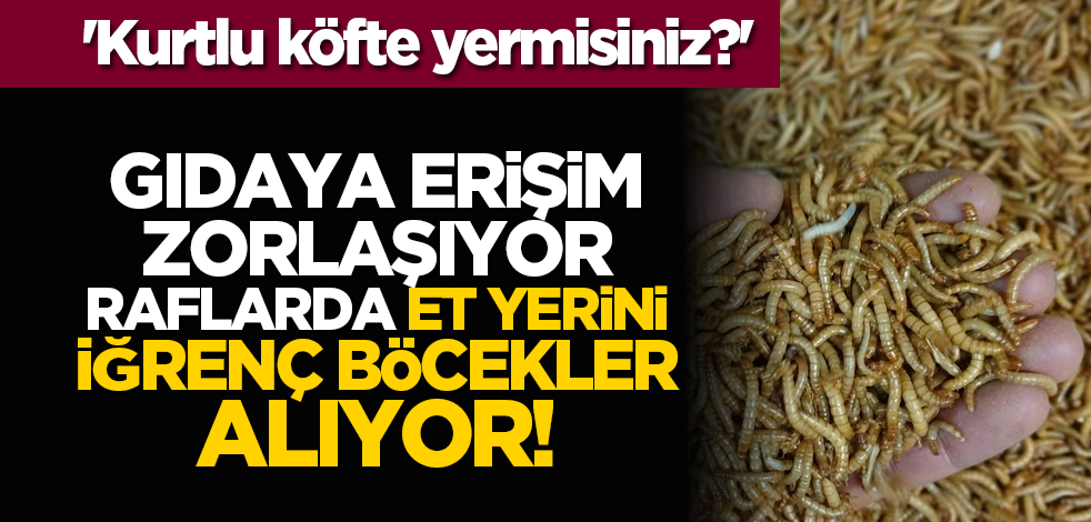 'Kurtlu köfte yermisiniz?' Gıdaya erişim zorlaşıyor, raflarda et yerini iğrenç böcekler alıyor!