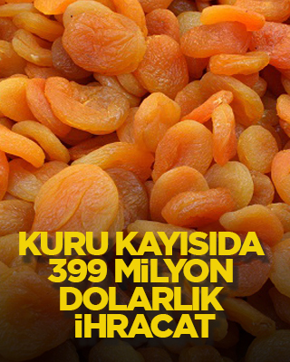 Kuru kayısıda 399 milyon dolarlık ihracat