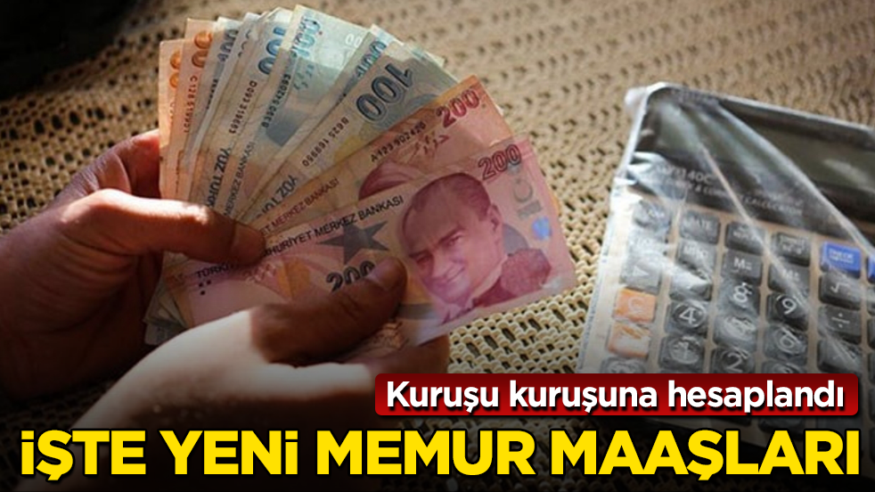 Kuruşu kuruşuna hesaplandı! İşte yeni memur maaşları