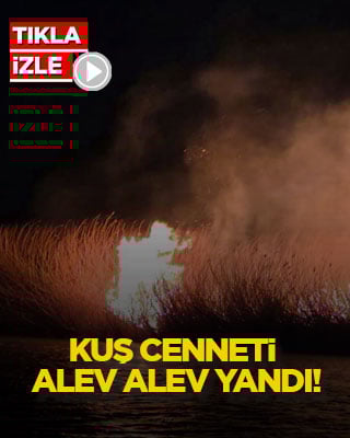 Kuş cenneti alev alev yandı!