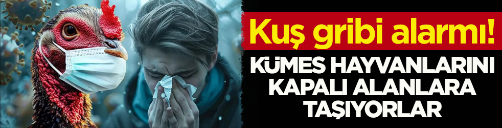 Kuş gribi alarmı! Kümes hayvanlarını kapalı alanlara taşıyorlar