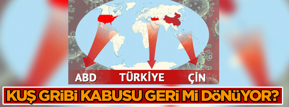 Kuş gribi kabusu geri mi dönüyor?