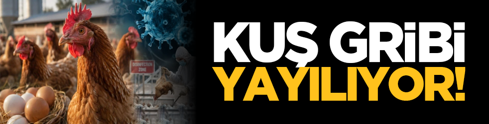 Kuş gribi yayılıyor!