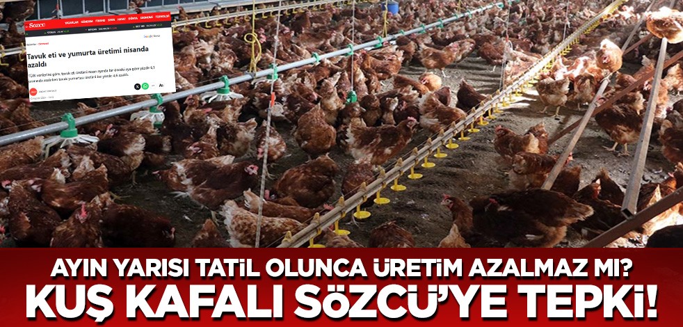 Kuş kafalı Sözcü! Ayın yarısı tatil olunca üretim azalmaz mı?