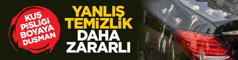 Kuş pisliği boyaya düşman: Yanlış temizlik daha zararlı