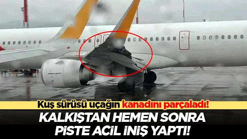Kuş sürüsü uçağın kanadını parçaladı! Kalkıştan hemen sonra piste acil iniş yaptı!