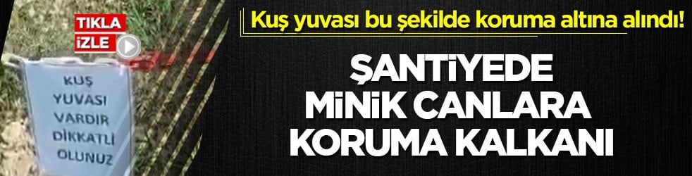 Kuş yuvası bu şekilde koruma altına alındı! Şantiyede minik canlara koruma kalkanı