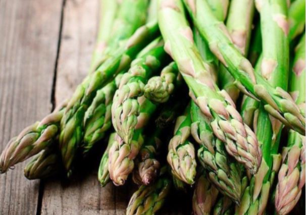 Kuşkonmaz dikeni faydaları