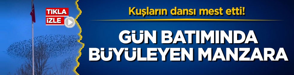 Kuşların dansı mest etti! Gün batımında büyüleyen manzara