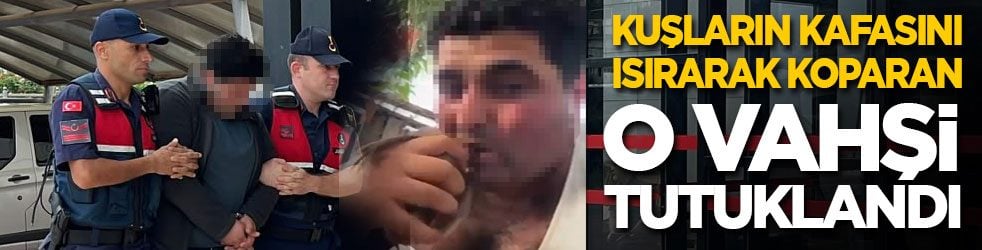 Kuşların kafasını ısırarak koparan o vahşi tutuklandı