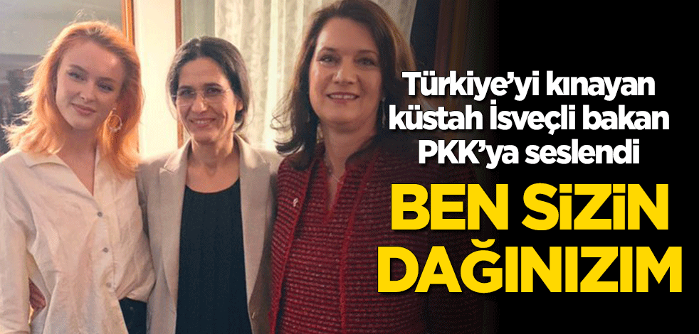 Küstah İsveçli bakan Türkiye'yi kınadı, PKK'ya seslendi: Ben sizin dağınızım
