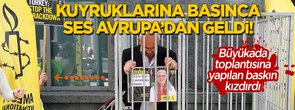 Kuyruklarına basınca ses Avrupa'dan geldi! Büyükada operasyonuna...