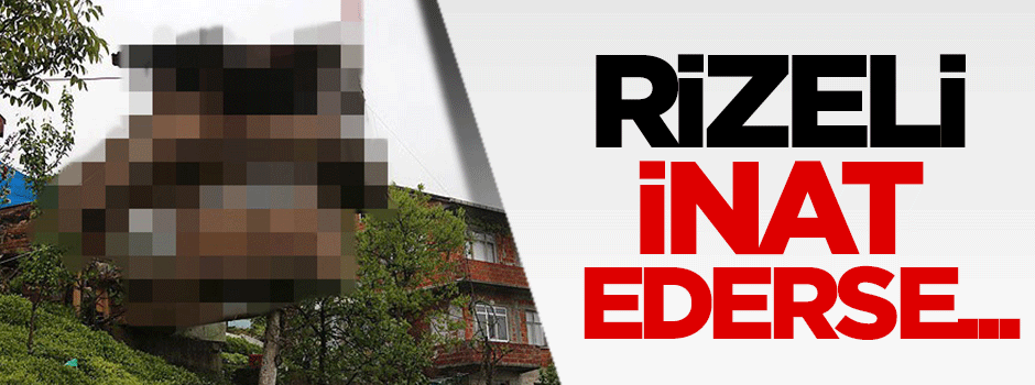 Yeğnine inat ceviz ağacına iki katlı ev yaptı