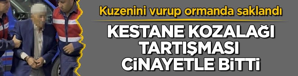 Kuzenini vurup ormanda saklandı! Kestane kozalağı tartışması cinayetle bitti