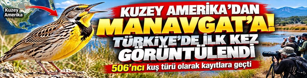 Kuzey Amerika’dan Manavgat’a sürpriz misafir! Türkiye’de ilk kez görüntülendi
