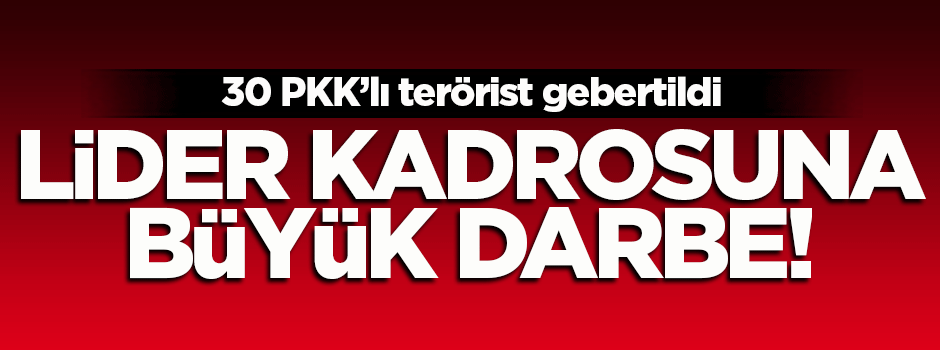 Kuzey Irak'ta 30 terörist gebertildi