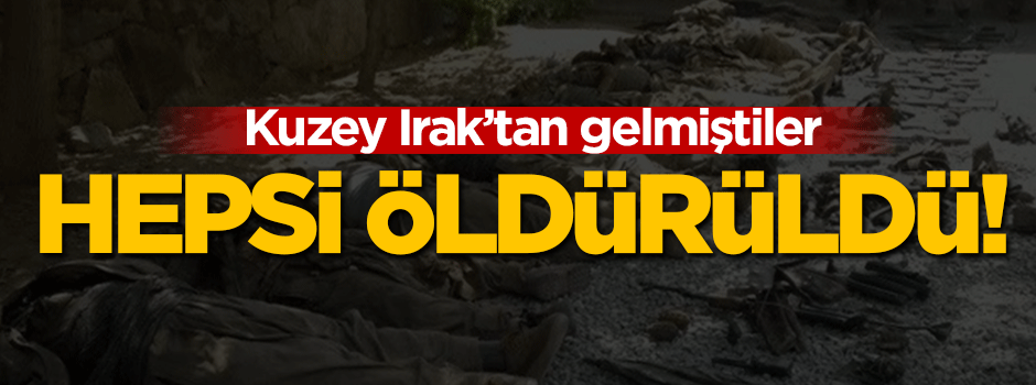 Kuzey Irak'tan gelmişlerdi! Hepsi öldürüldü